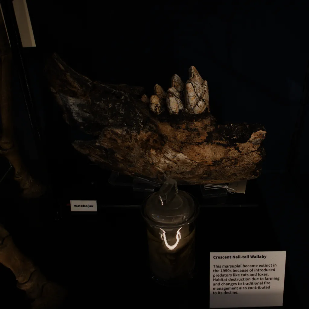 londyn-wpis-turysta-grant-museum-of-zoology-szczeka-mastodonta