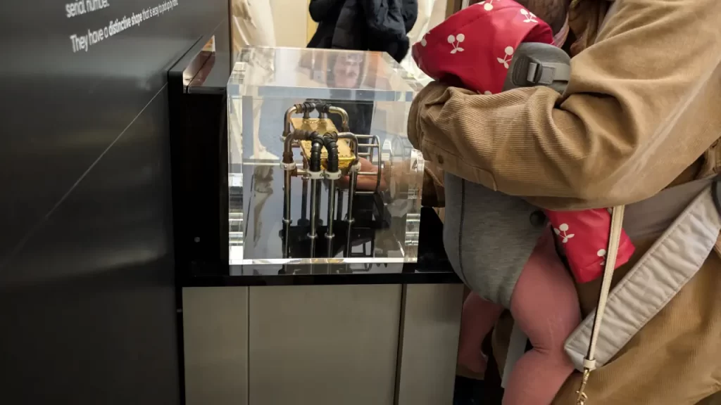 londyn-turysta-bank-of-england-gold-01