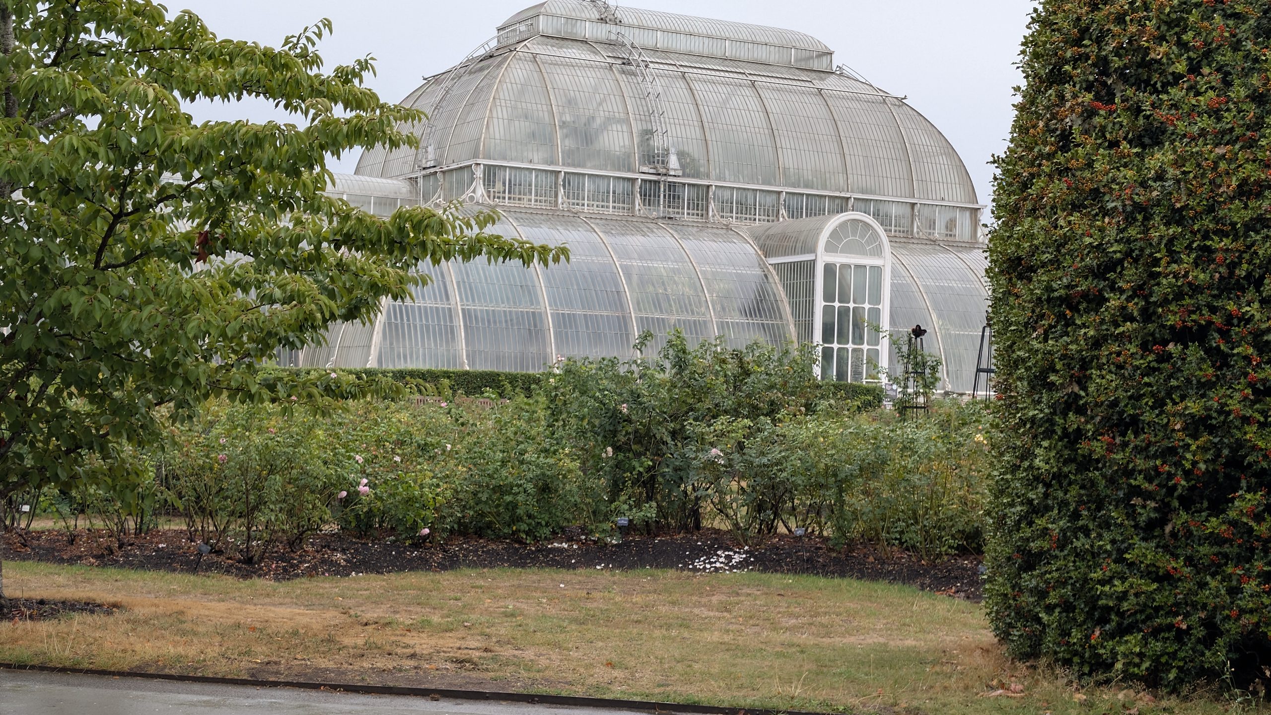 Londyn Turysta - Kew Garden